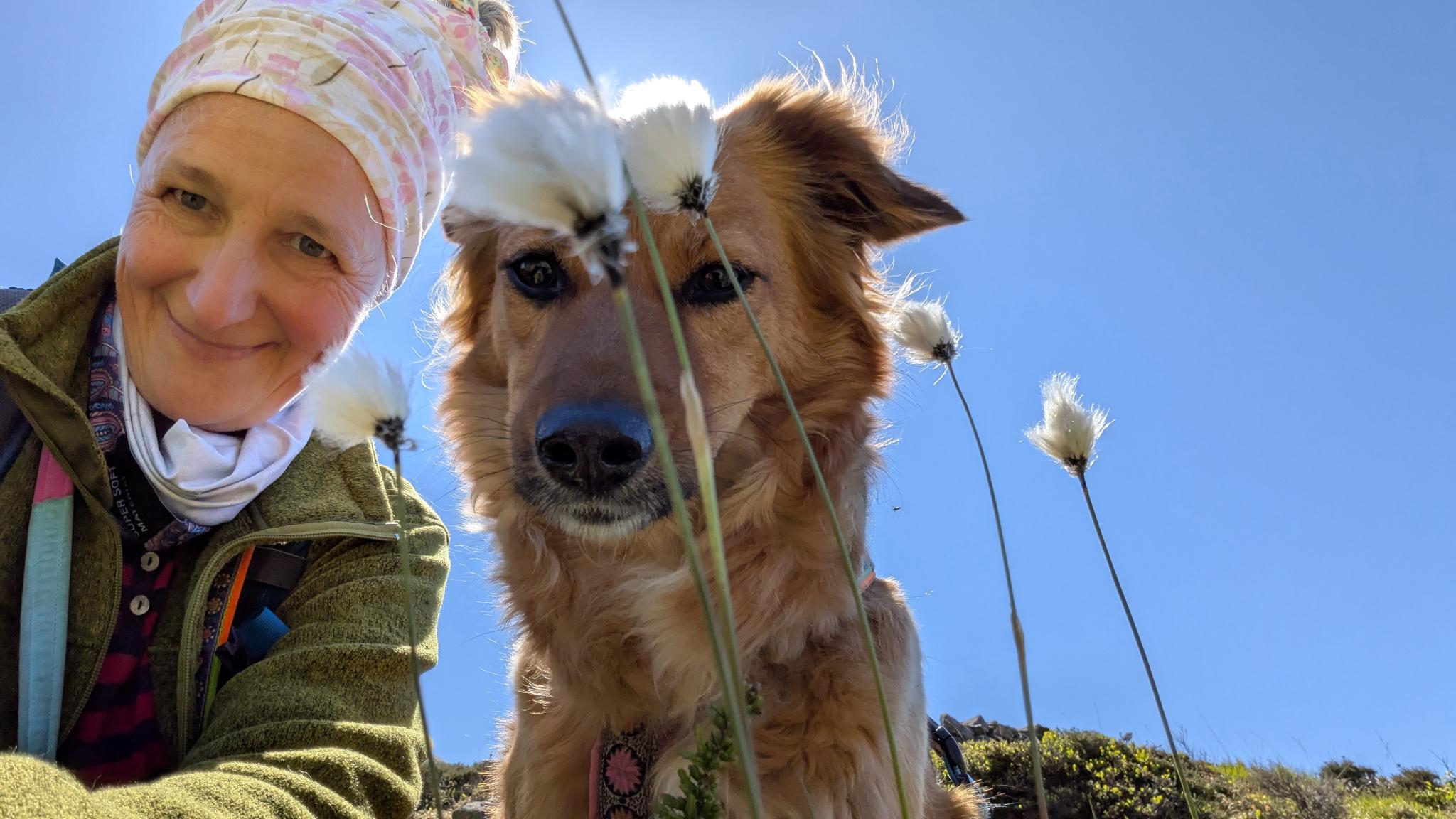Andie mit Brée mitten auf der Wiese der Hundpunkt Hundeschule an einem warmen Sommertag.