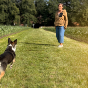 Wir üben auf der Wiese auch den Rückruf mit und ohne Pfeife. Ein Hund reagiert hier sofort auf den Ton.