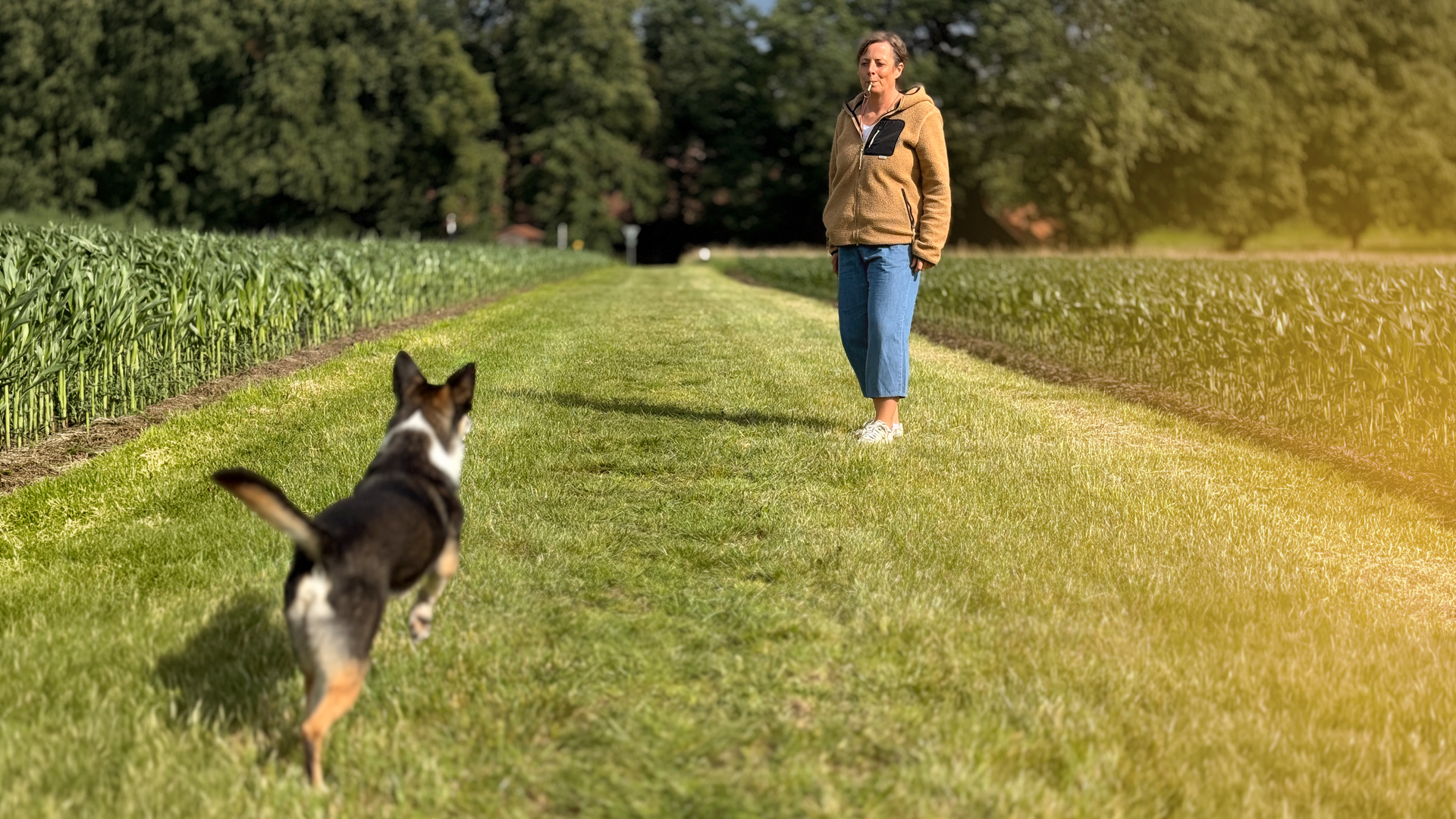 Wir üben auf der Wiese auch den Rückruf mit und ohne Pfeife. Ein Hund reagiert hier sofort auf den Ton.