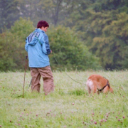 Fährten-Workshop bei Hundpunkt Training für Mensch und Hund